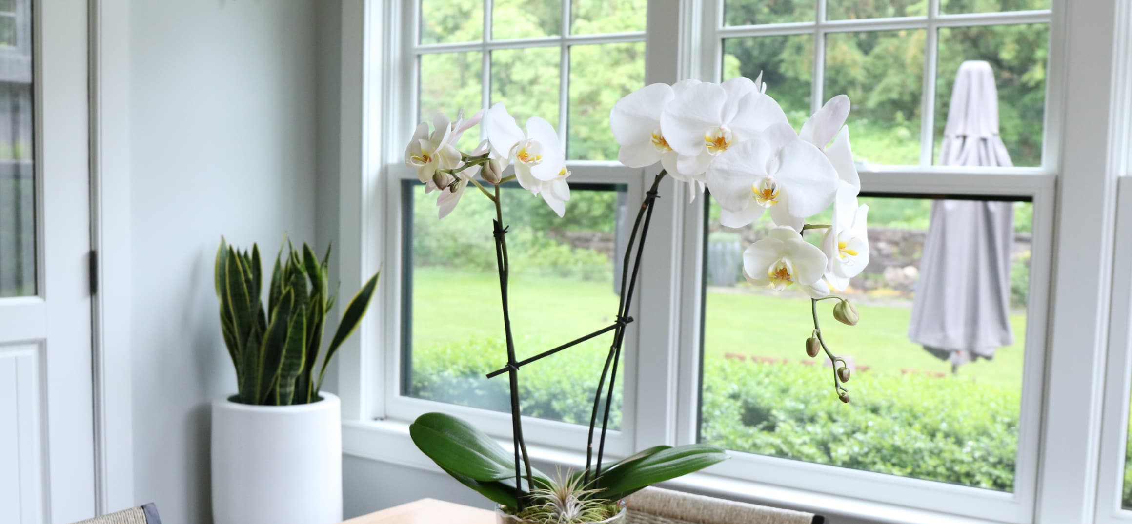 Send Flowers Rockville Centre Ny Best Flower Site